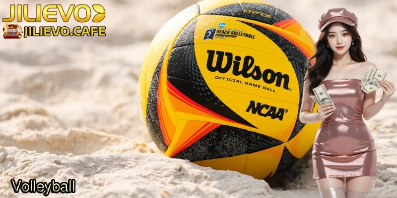 Volleyball