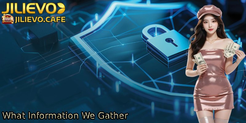 What-Information-We-Gather