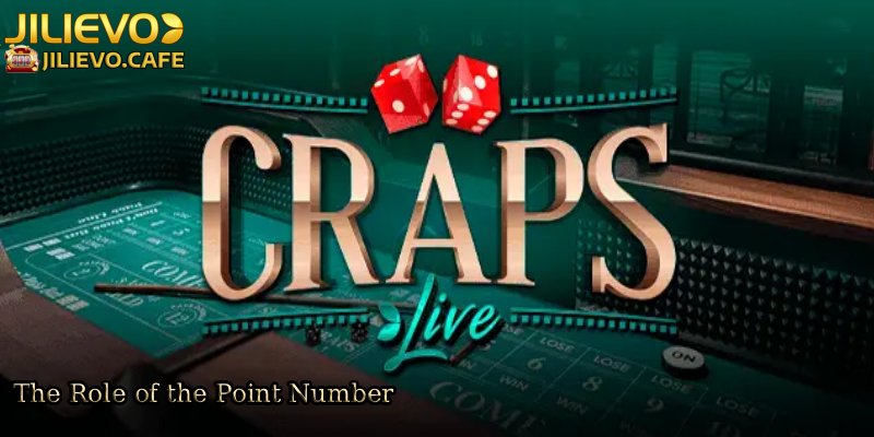 The-Role-of-the-Point-Number. 