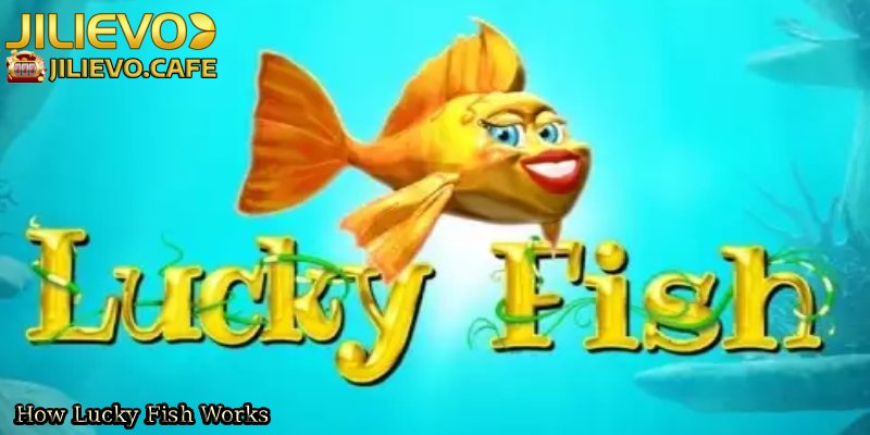 How-Lucky-Fish-Works. 