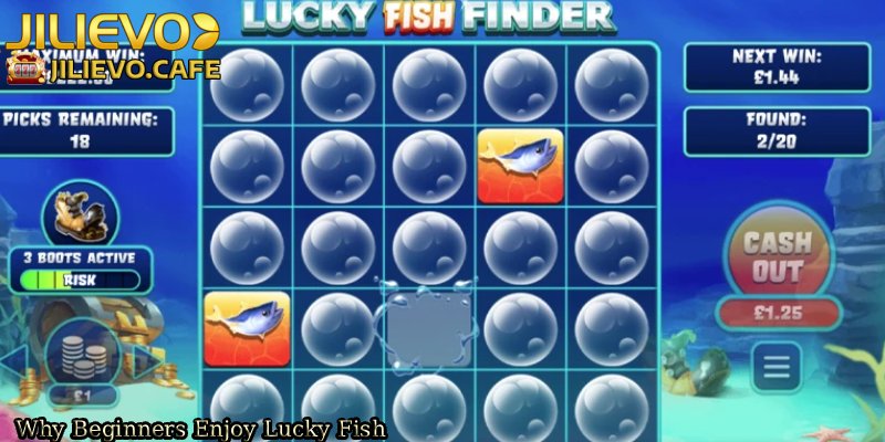 Why-Beginners-Enjoy-Lucky-Fish. 