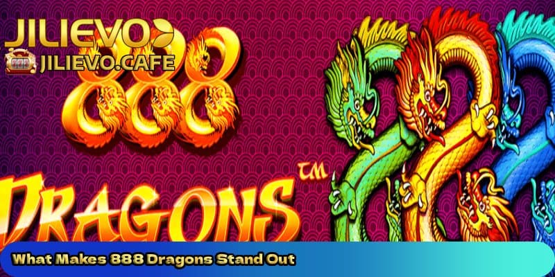 What-Makes-888-Dragons-Stand-Out 