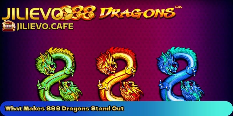 What-Makes-888-Dragons-Stand-Out. 